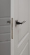 Межкомнатная дверь QD-1 ПГ Эмлайн Грей КУПЕ двухстворчатая Quest doors